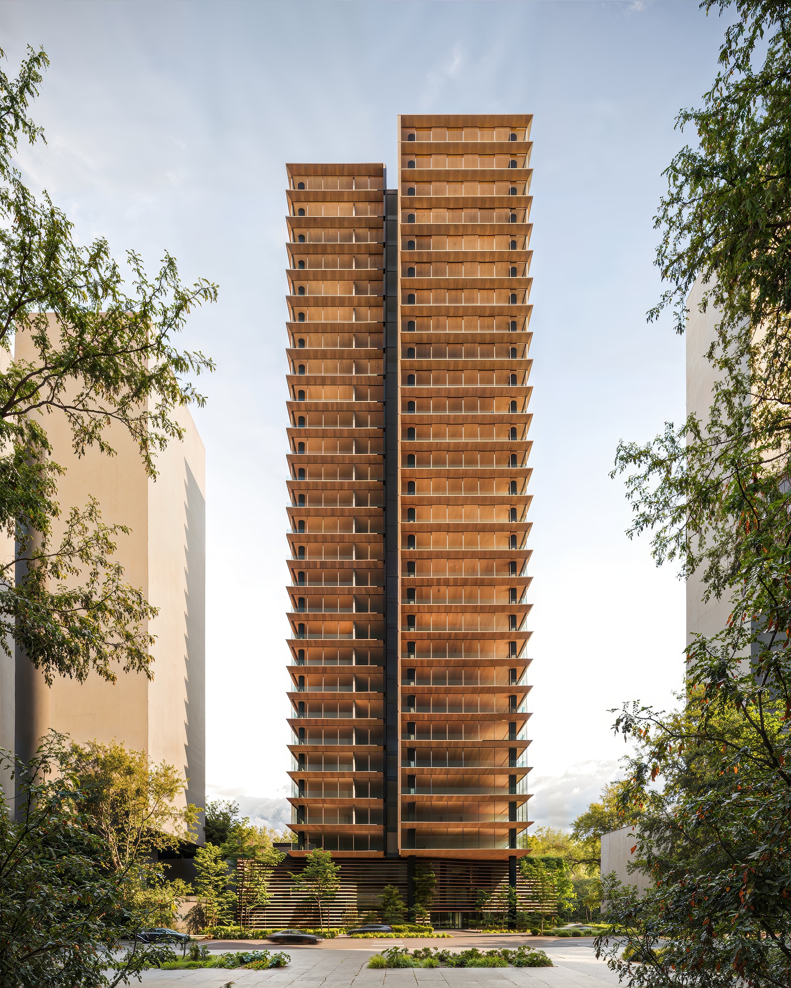 Arbórea Ibirapuera